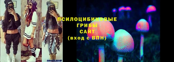 стафф Волосово
