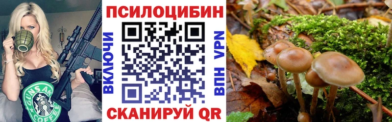 Псилоцибиновые грибы Psilocybe  где продают   Батайск 